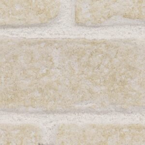 Quarry White Rustic Brick