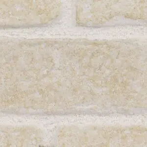 Quarry White Rustic Brick
